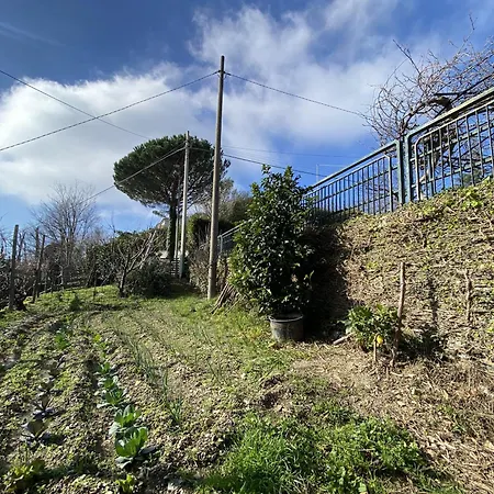 Villa Casa A Nel Nel Tigullio